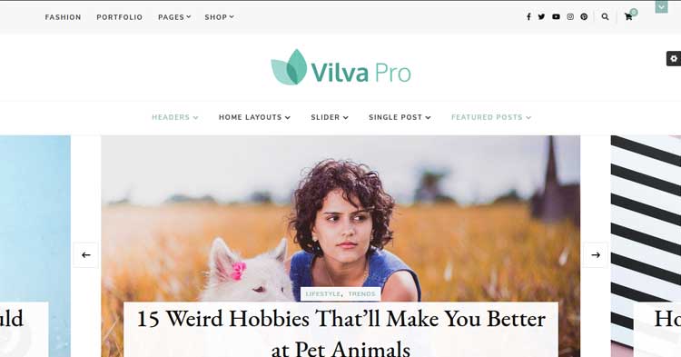 Vilva Pro Theme Pro Bloggers WP Theme