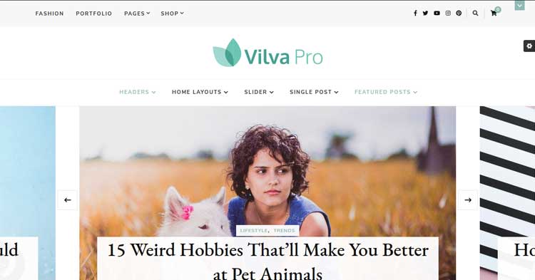 Download Vilva Pro Theme Pro Bloggers WP Theme now!