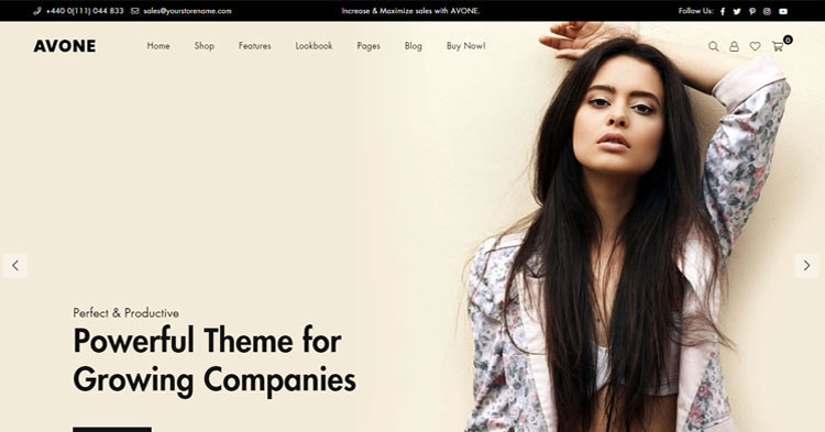 Download Avone Multipurpose Shopify Theme Now!